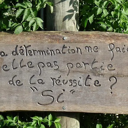 Campsite Camping Nature Au-dela Des Nuages